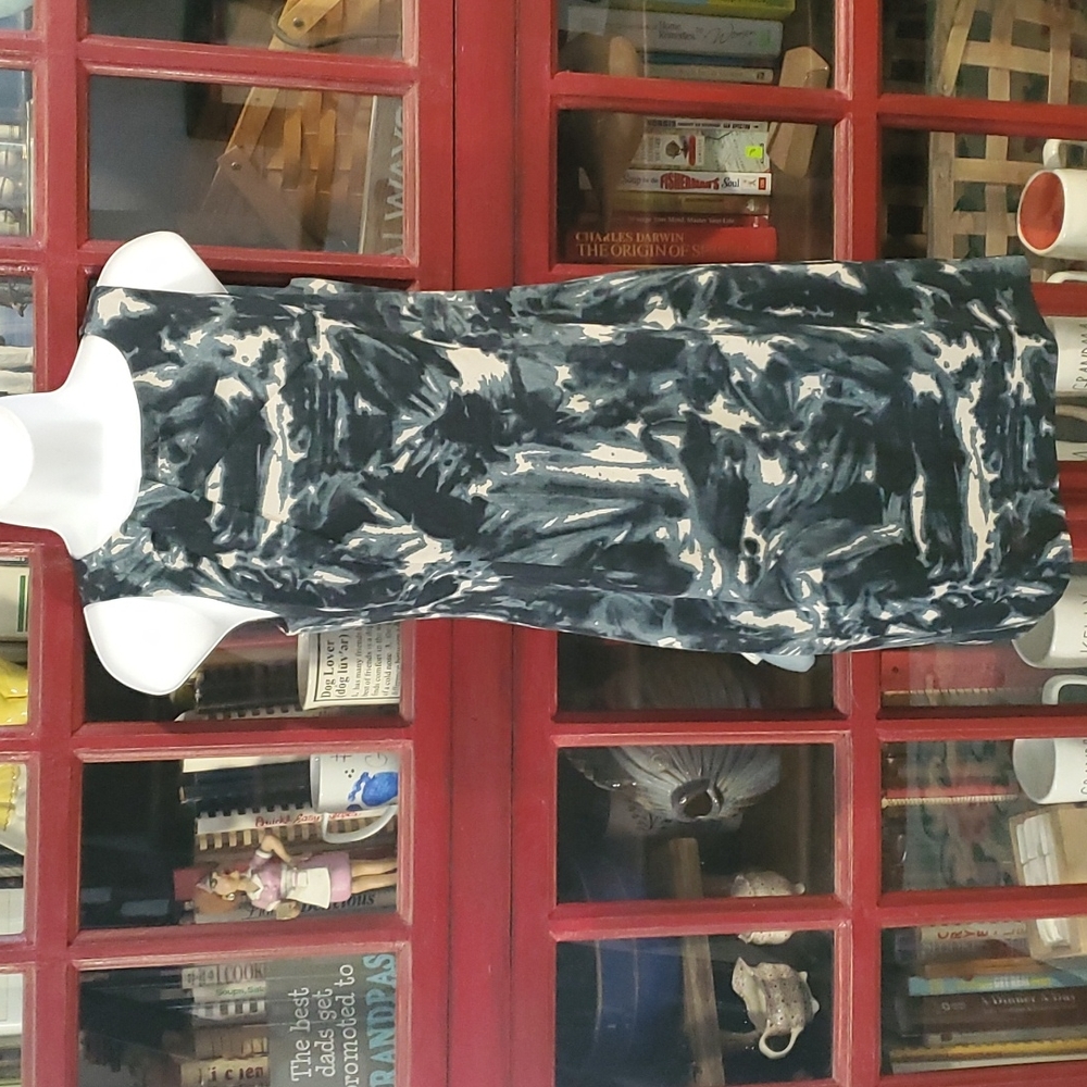 ANN TAYLOR dress.   #3754